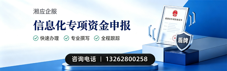 绍兴信息化专项资金申报服务