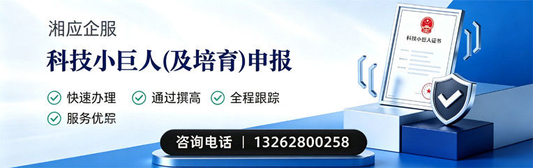 绍兴科技小巨人及培育企业申报服务
