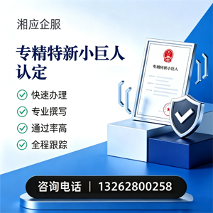 绍兴专精特新小巨人申报服务