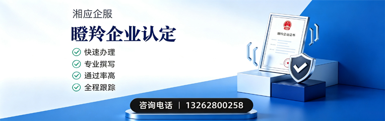 绍兴瞪羚企业认定申报服务
