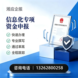 绍兴信息化专项资金申报服务