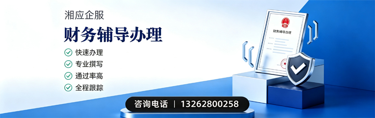 绍兴财务辅导申请服务