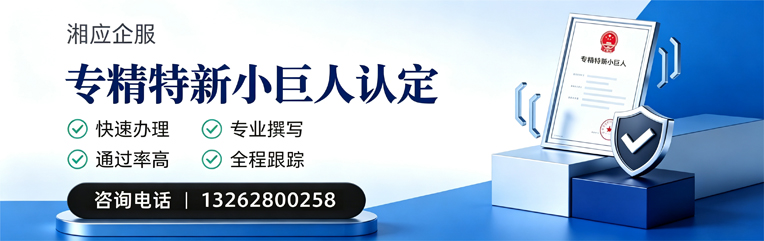 绍兴专精特新小巨人申报服务